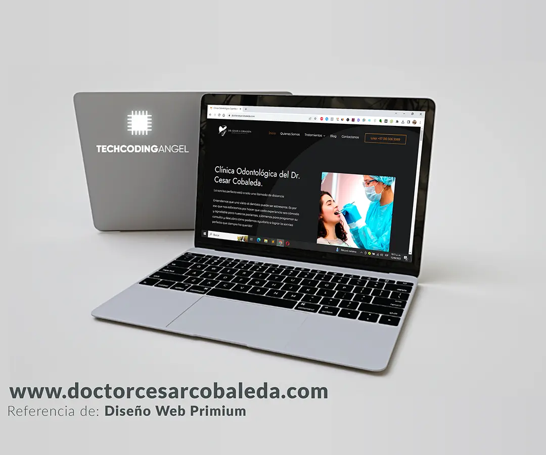diseño web ibague bogota maracay caracas valencia